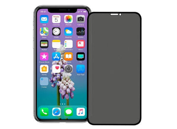 Folie Privacy pentru iPhone 12 Pro Max, Full Glass - Transparent / Negru