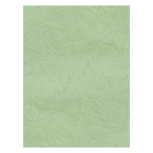 Coperta indosariere A4 CNX, carton imitatie piele, fistic, 230g/mp, top 100 coli