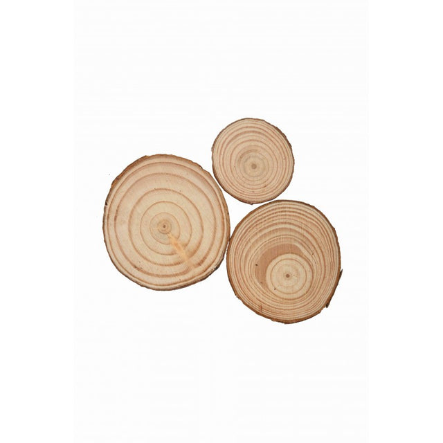 Accesorii creatie - lemn - rondele, 3.5-6cm, set 3 buc, Colorarte
