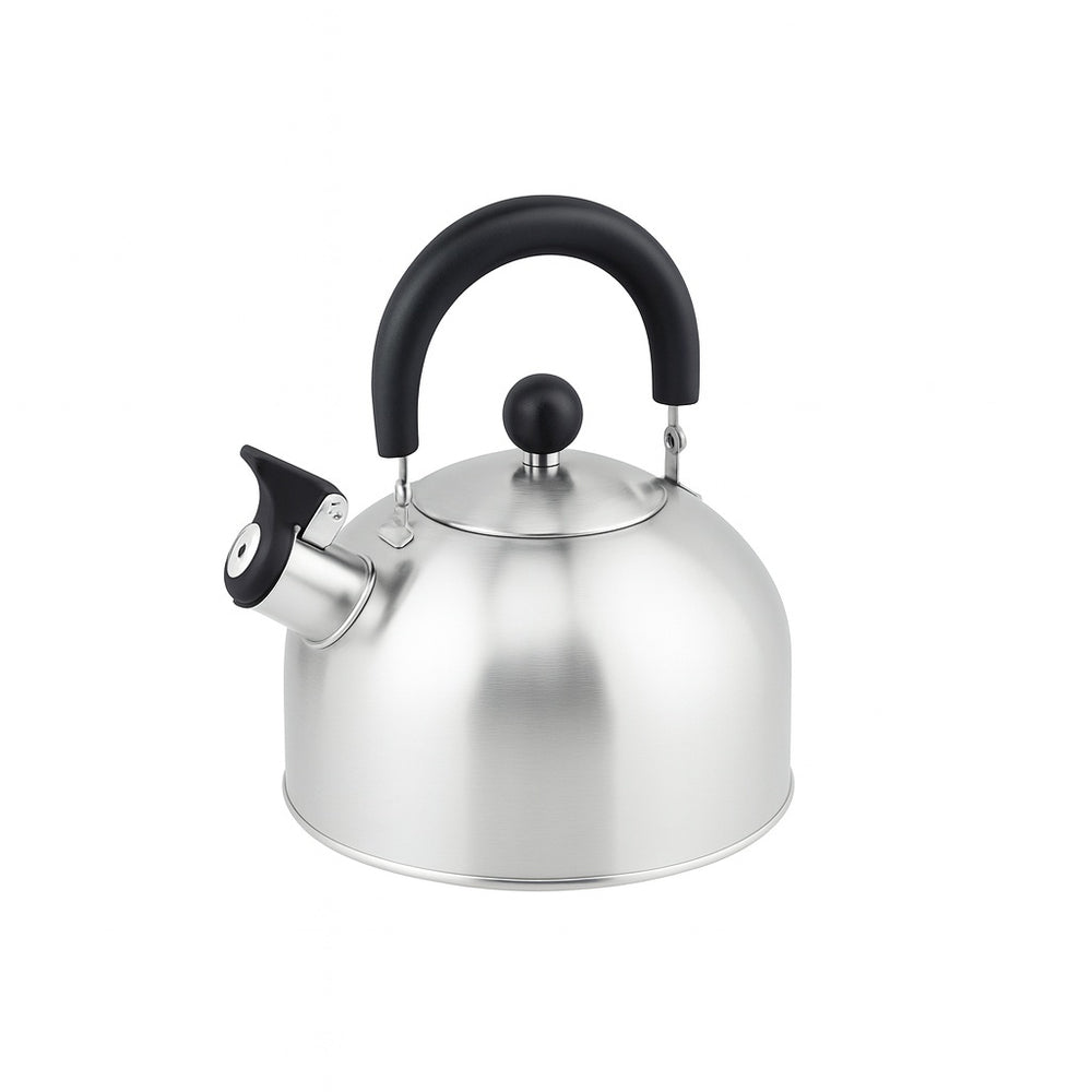 Ceainic inox cu fluier FLORIA, 3L, exterior polishat, baza larga, ZLN1276, argintiu