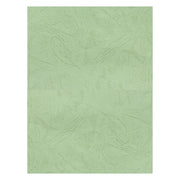 Coperta indosariere A4 CNX, carton imitatie piele, fistic, 230g/mp, top 100 coli
