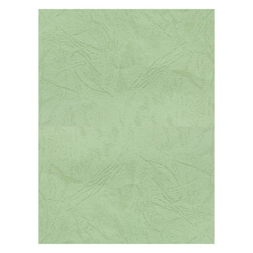 Coperta indosariere A4 CNX, carton imitatie piele, fistic, 230g/mp, top 100 coli