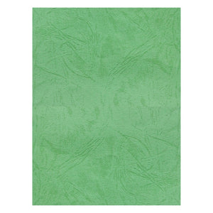 Coperta indosariere A4 CNX, carton imitatie piele, verde, 230g/mp, top 100 coli