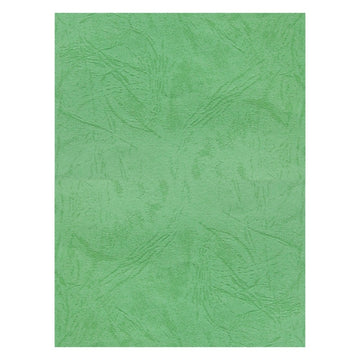 Coperta indosariere A4 CNX, carton imitatie piele, verde, 230g/mp, top 100 coli
