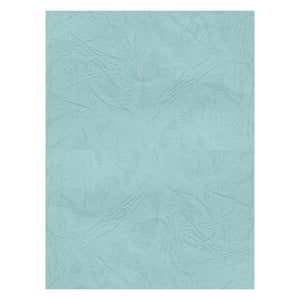 Coperta indosariere A4 CNX, carton imitatie piele, verde pastel, 230g/mp, top 100 coli