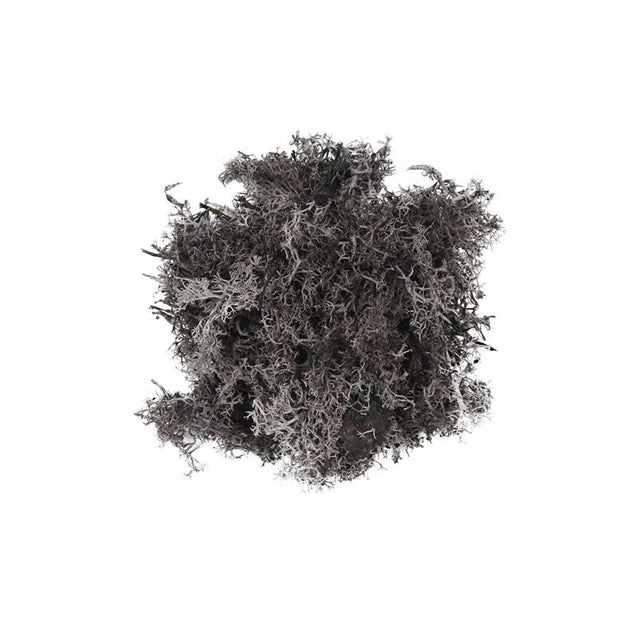 Licheni stabilizati, violet, punga 30g, Colorarte, Q2