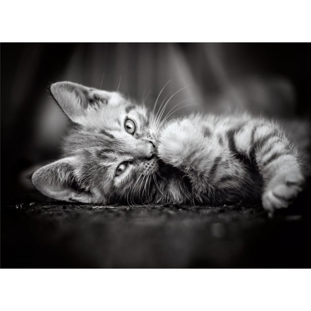 Puzzle carton 1000 piese Clementoni High quality - Kitty, 39422, 14+ ani